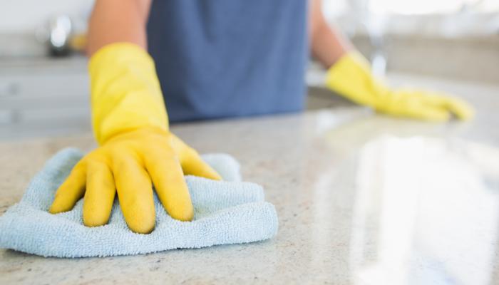 clean counter | Any Pest Inc.