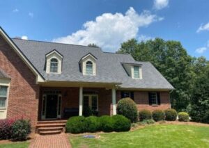 Pewter Roof Shingle