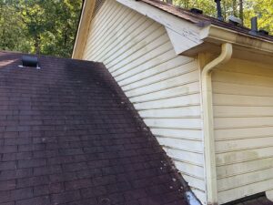 Roofing Damage