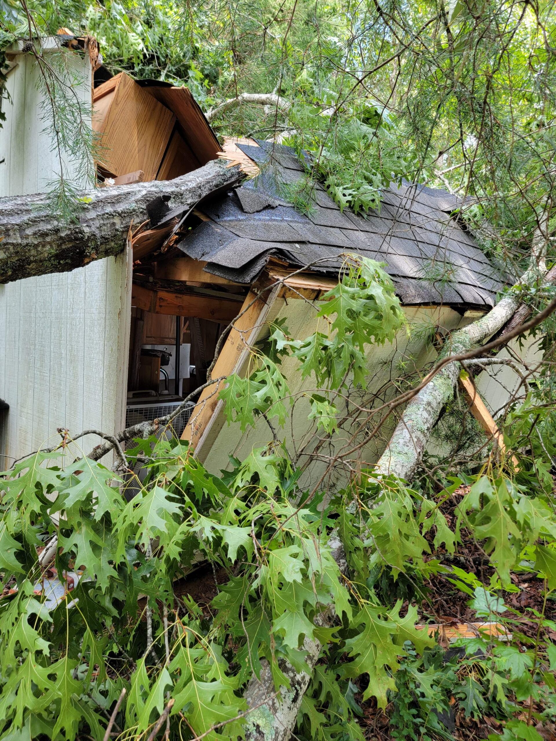 Storm Damage 