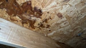 Attic water Damage